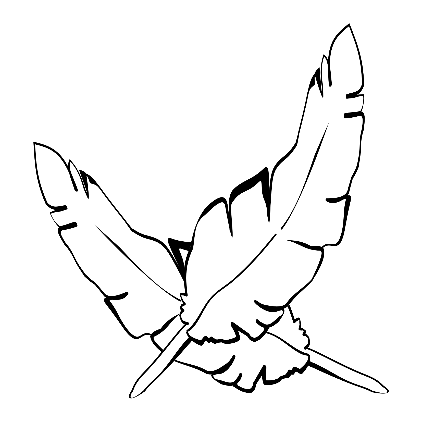 eagle feather coloring pages - photo #14