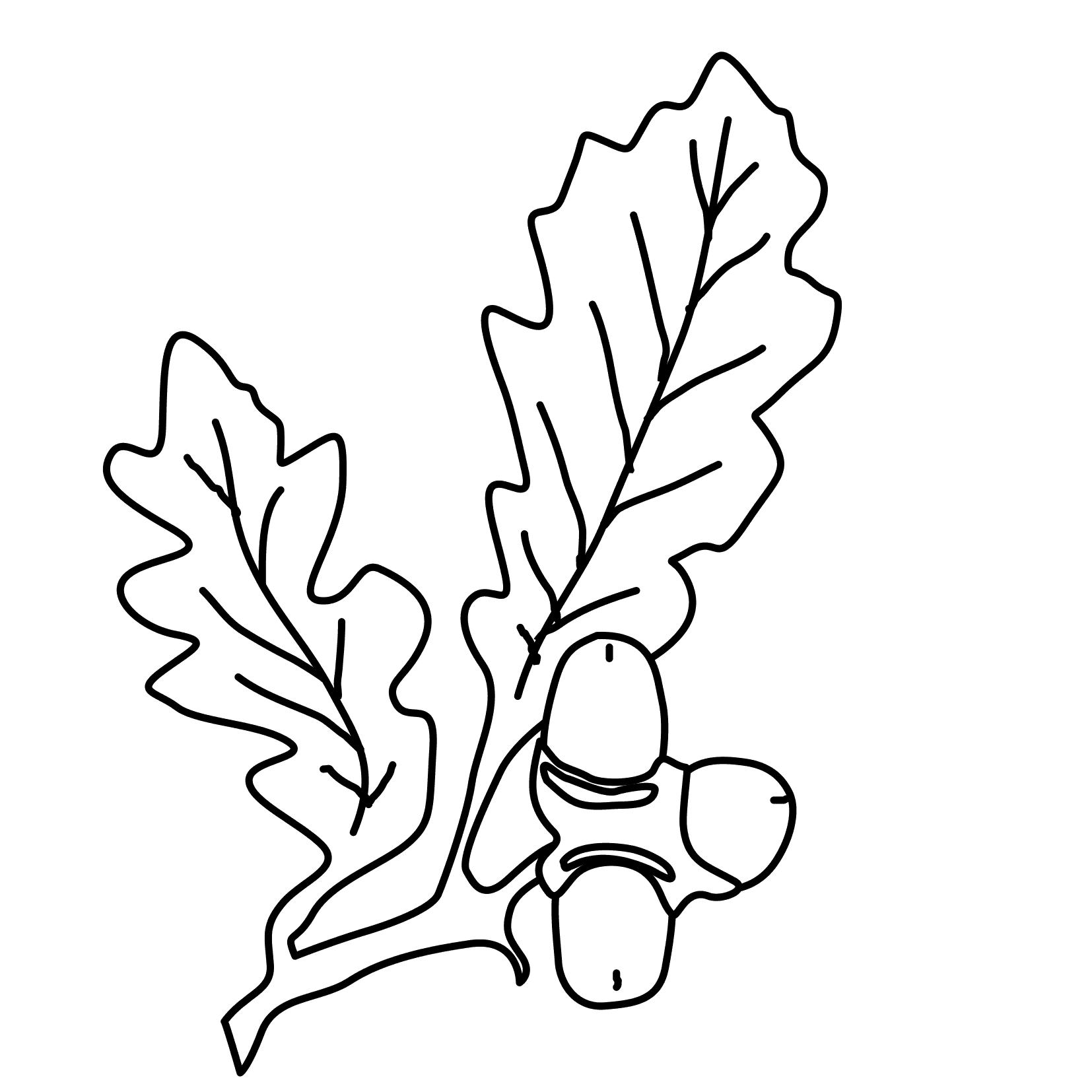Coloring Pages Trees And Leaves Free Downloads