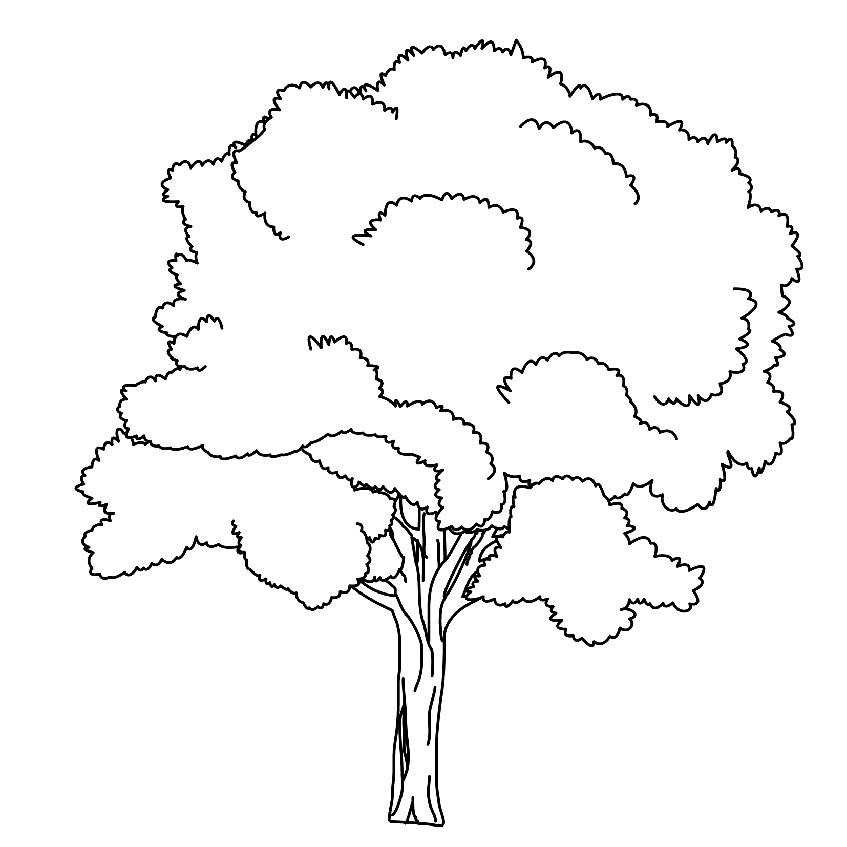 Coloring Pages Trees And Leaves Free Downloads