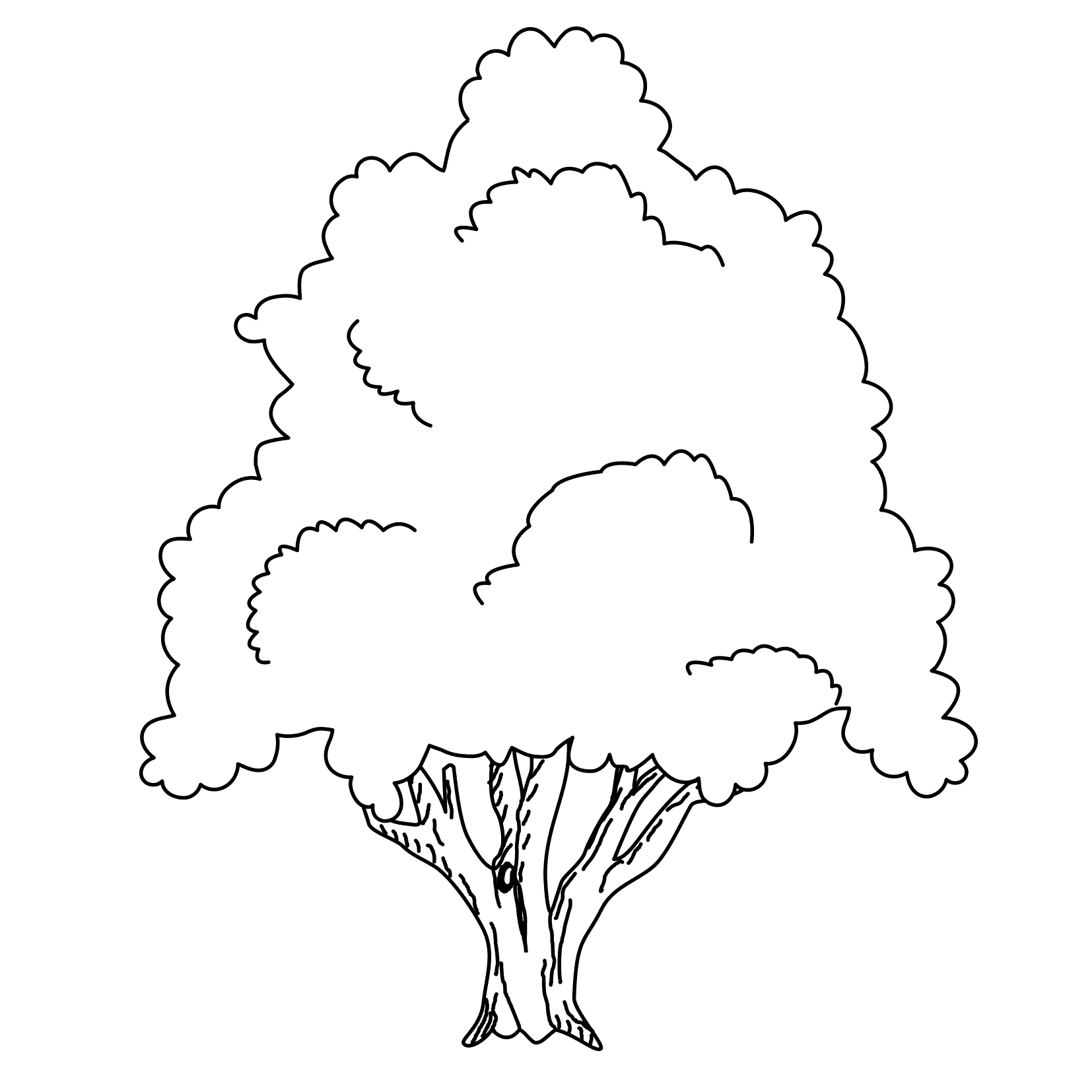 Coloring Pages Trees And Leaves Free Downloads