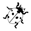  Ladybird