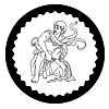 Symbol-of-good-luck Zodiac-Aquarius