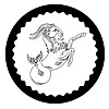 Symbol-of-good-luck Zodiac-Capricorn