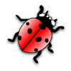  Ladybird-1